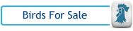 Poultry for sale