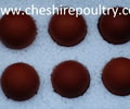 Click to open our Silver Black Marans gallery